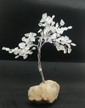 Small gem tree on zeolite crystal